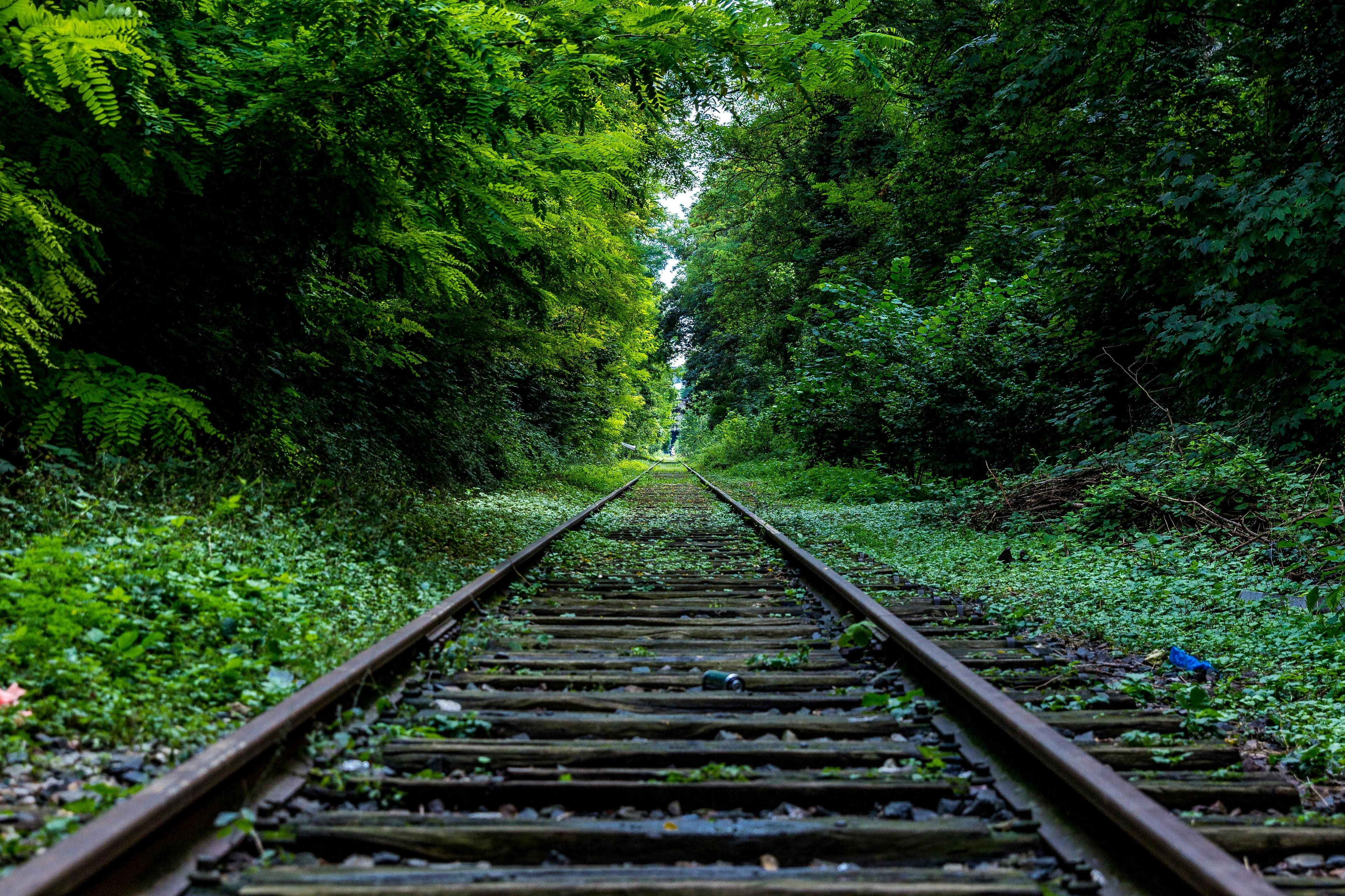 Footer background desktop
